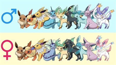 eeveelutions human|eevee female vs male differences.